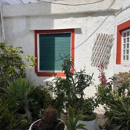 펜션 Casetta Sant'angiolese 이스키아