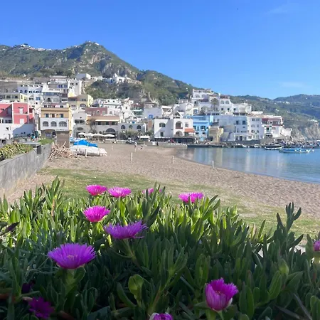 Casetta Sant'angiolese * Ischia